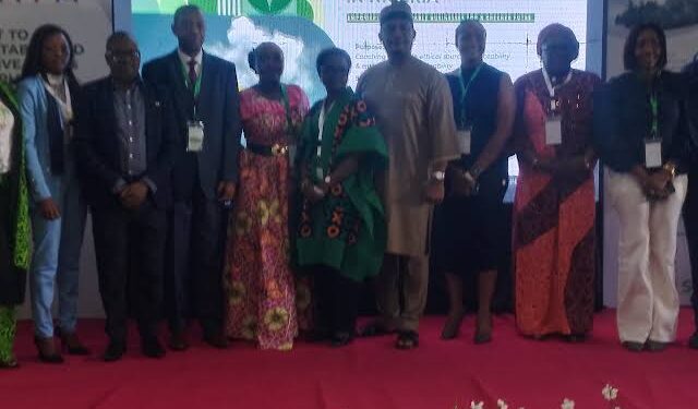 ITFA, others train 500 NGOs, MSMEs on sustainable trade transformation