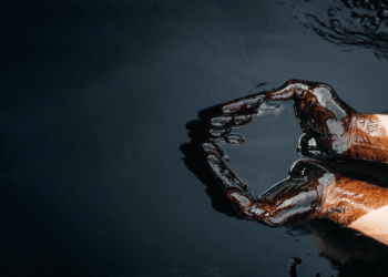 Experts hail FG as oil theft hits 16-year low