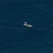 China to Build Natural Reserve at Disputed South China Sea Shoal