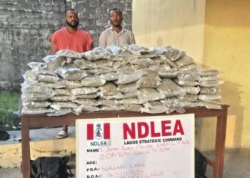 NDLEA arrests wanted drug baron, recovers large drug shipment