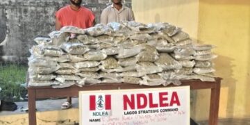 NDLEA arrests wanted drug baron, recovers large drug shipment